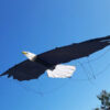 revolution eagle stunt kite